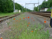 PavlaCzechVisit 182 : PavlaCzechVisit